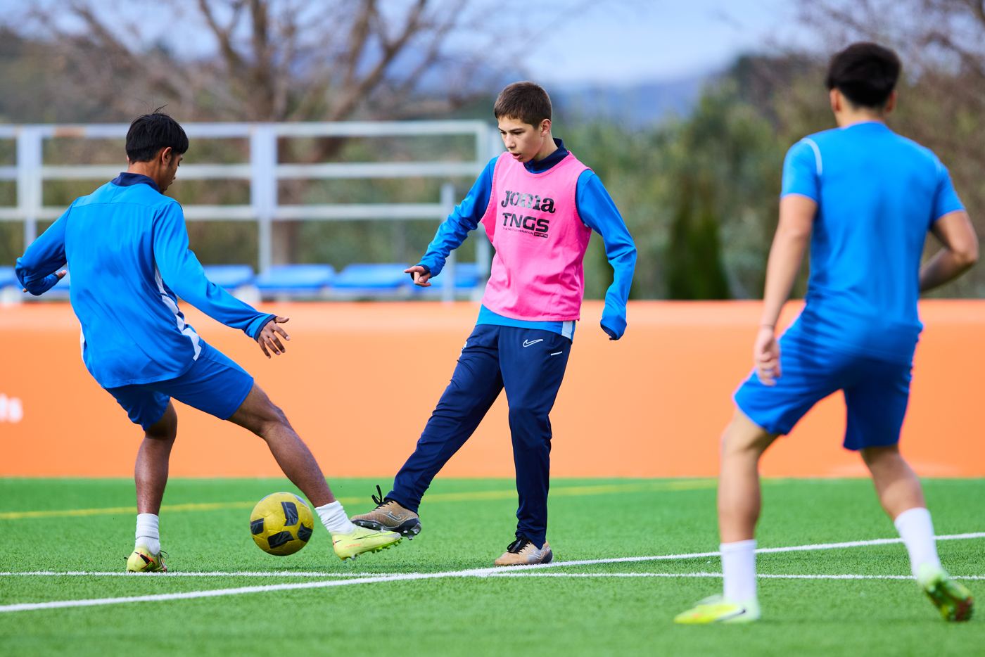 Daily training